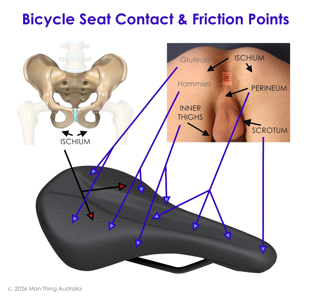 Cycling contact and friction points for Male Waxing